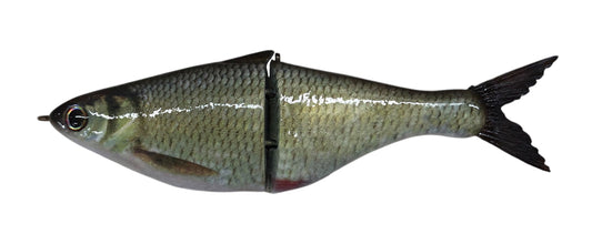 Texas Gizzard Glide Shiner - Texas Swim Baitz